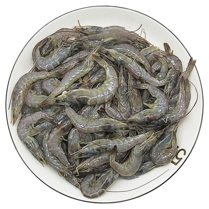 新鲜小河虾鲜活冷冻淡水虾