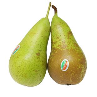 【顺丰包邮】TRUVAL比利时进口啤梨青啤梨当季新鲜水果青皮梨子