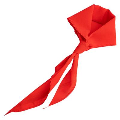 得力红领巾小学生纯棉通用大号