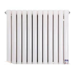 钢二柱水暖暖气片集中天然气壁挂炉供暖水循环北方钢制立式家用