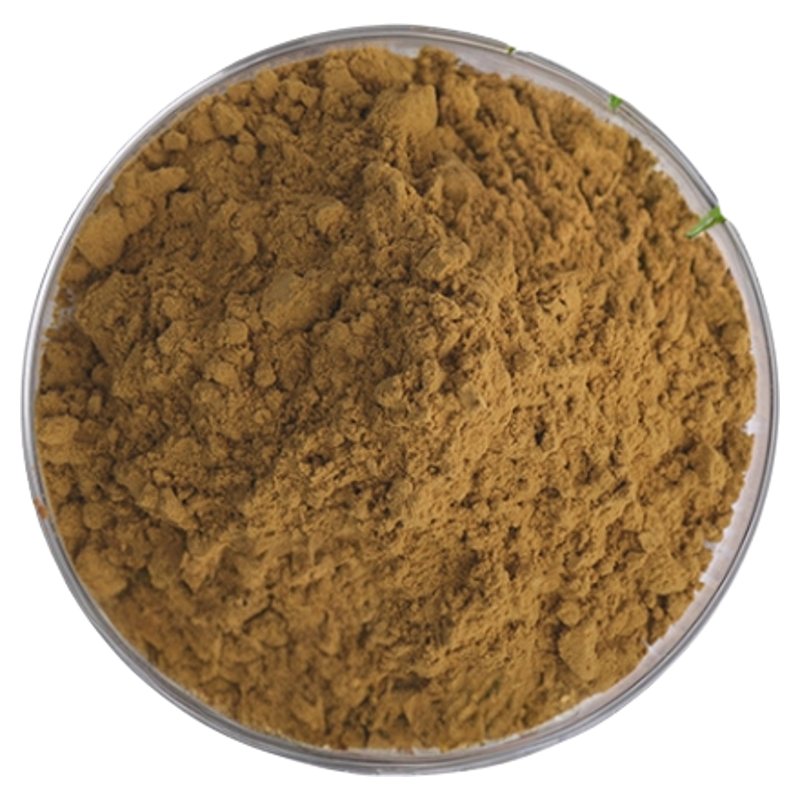 桑叶提取物 DNJ 5% 脱氧野尻霉素 植物提取物 食品级原料厂家直发