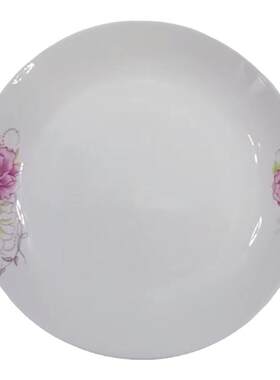 家用陶瓷菜盘盘子套装菜碟菜盘餐具10只装陶瓷饭盘汤碟子可微波炉