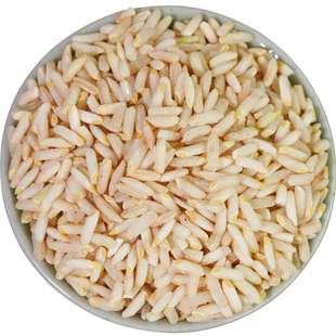 籼米胚芽米大米五谷杂粮粥米全胚营养2025年新米糙米长粒胚芽米