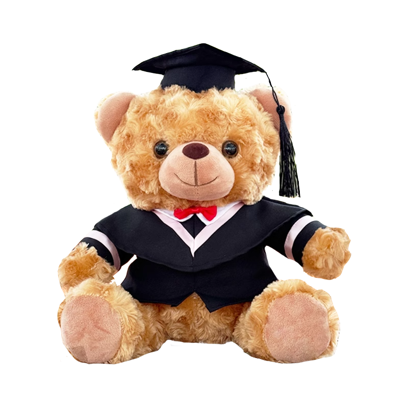 定制畢業(yè)小熊玩偶泰迪熊本科碩士學(xué)士服毛絨玩具娃娃畢業(yè)季批發(fā)