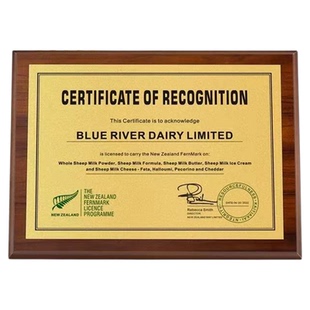 定制奖牌授权牌金箔沙金铜牌木质证书定做不锈钢牌公司荣誉牌牌匾