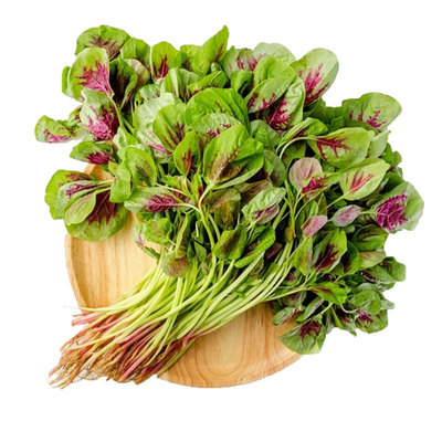 红苋菜新鲜苋菜红米苋农家自种