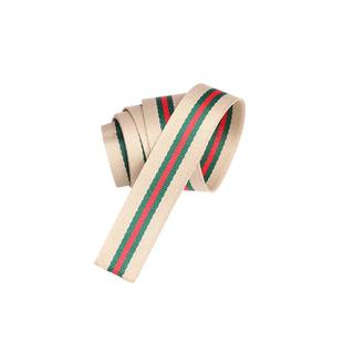 涤纶网络丝织带加厚背包带户外登山包捆绑带书包带编织带扁带辅料