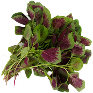 苋菜种子红圆叶红柳叶青柳叶苋菜种籽四季播田园农家汉菜蔬菜种子