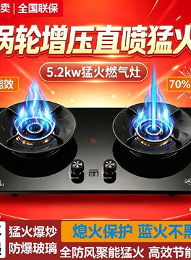 威力燃气灶单灶家用液化气天然气台式嵌入式煤气灶节能猛火炉灶具
