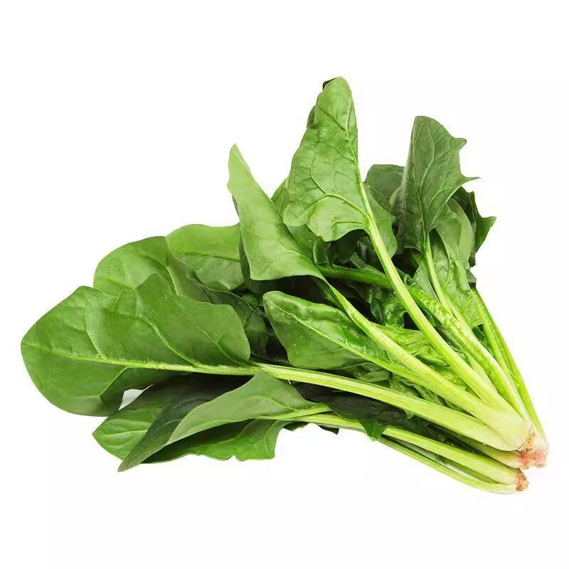 蔬菜种孑四季播种萝卜香菜籽种生菜葱蒜辣椒大白菜种子菜籽种大全