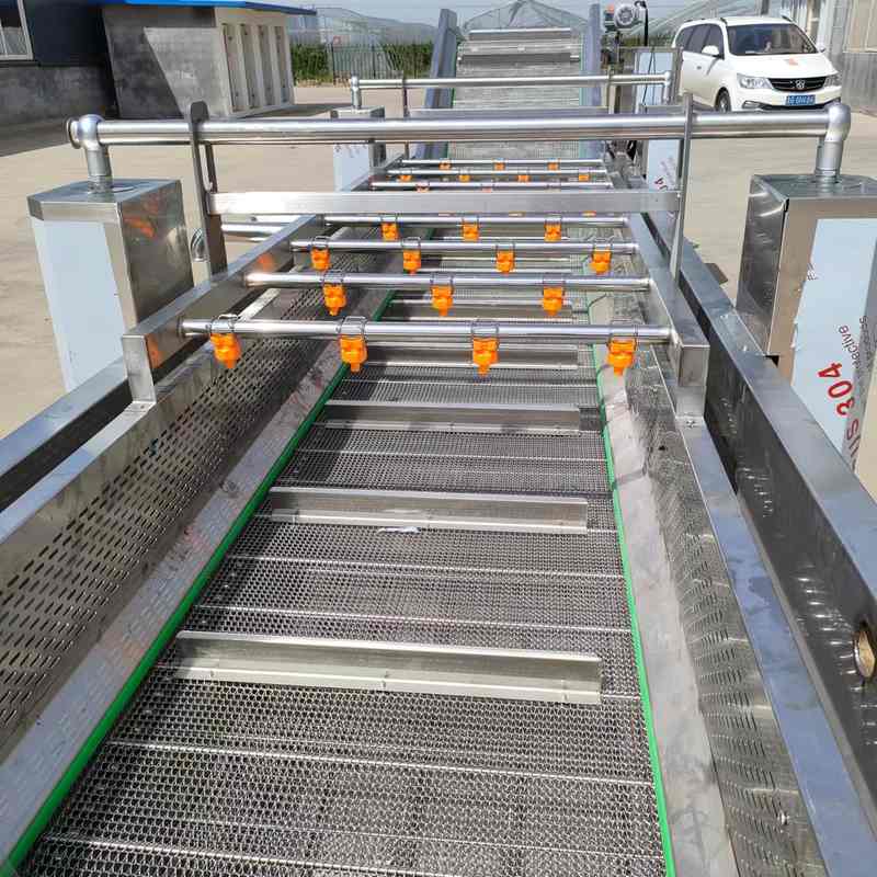 厂家定制全自动蔬菜清洗机预制菜加工香菇土豆辣椒野菜气泡清洗机