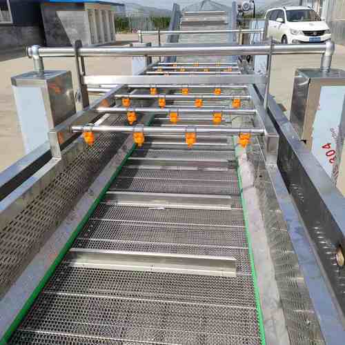 厂家定制全自动蔬菜清洗机预制菜加工香菇土豆辣椒野菜气泡清洗机