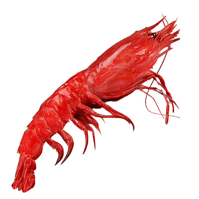 红魔虾新鲜刺身级料理满膏海虾