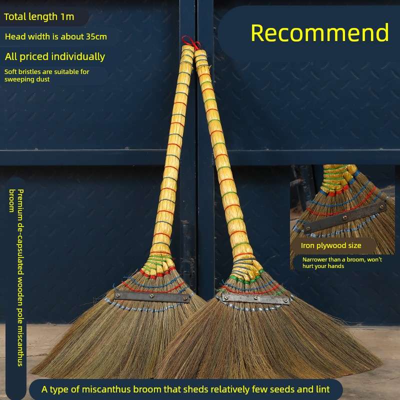 老式软毛室内植物草芒草扫把扫帚笤帚条数扫地木地板瓷砖不沾头发