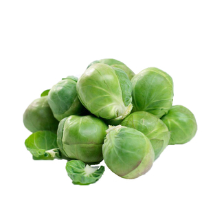 孢子甘蓝新鲜食用西餐沙拉蔬菜食材迷你小宝菜小卷心菜抱子甘蓝