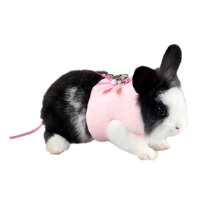 小宠荷兰猪龙猫外出胸背带牵引绳