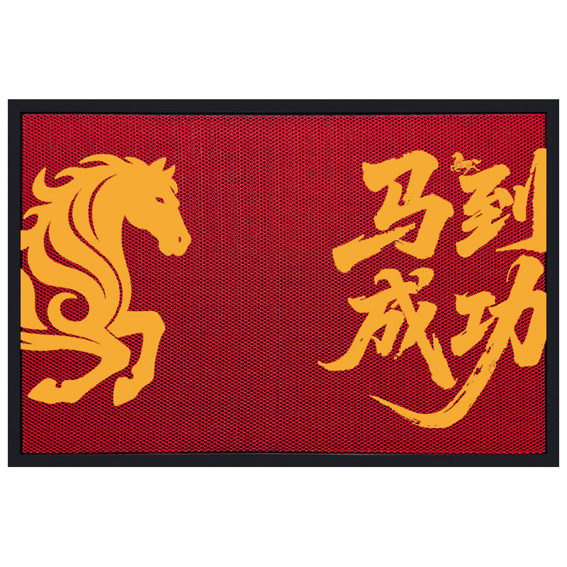 高端入户门专用地垫高级除尘脚垫户外免洗门垫弹力丝室外防滑地毯