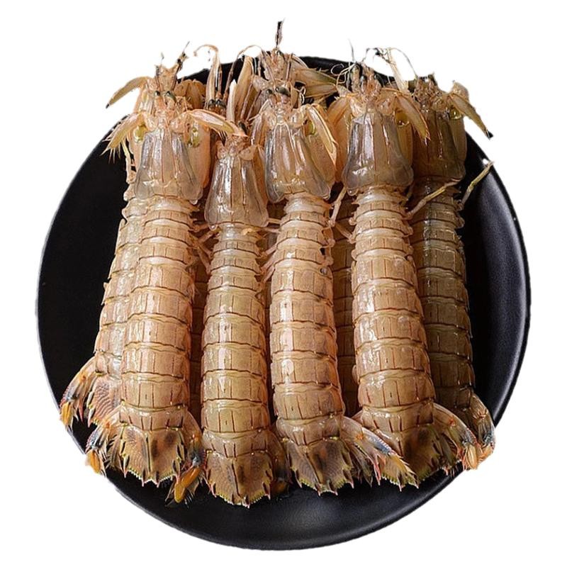 皮皮虾鲜活特大冷冻虾爬子琵琶虾椒盐即食富贵濑尿虾姑海鲜水产