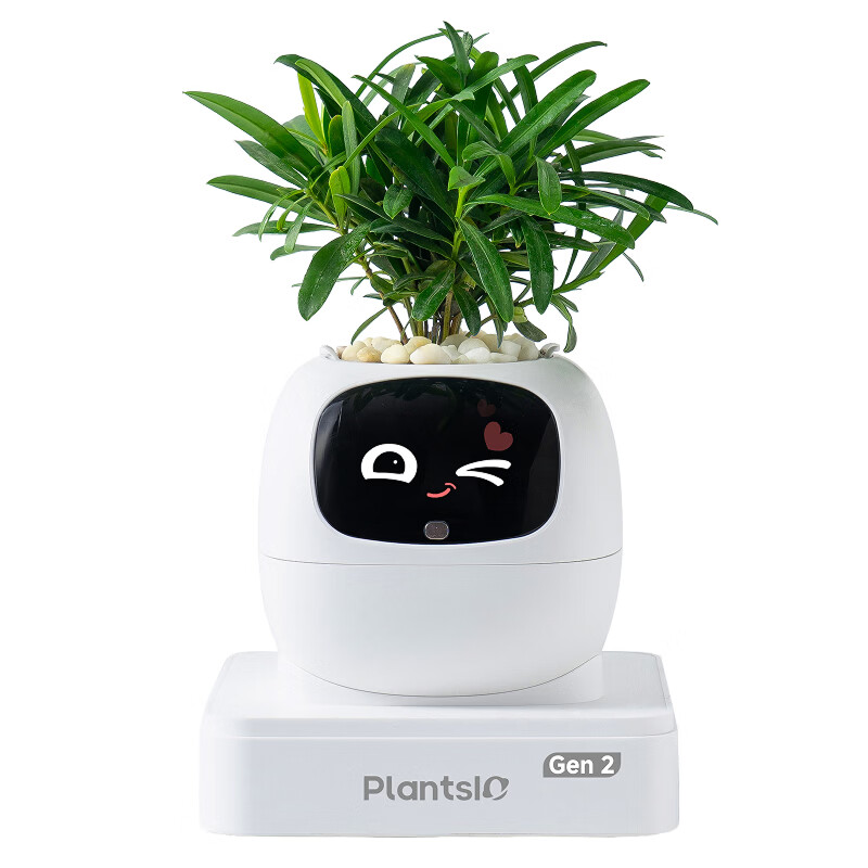IVY2代AI机器人智能花盆自动浇水