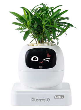 IVY2代AI机器人智能花盆自动浇水