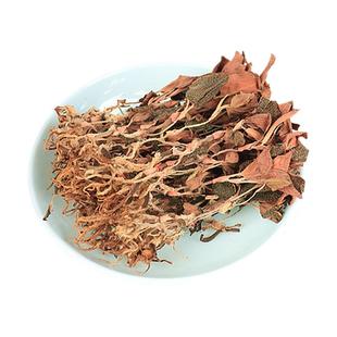 正宗南靖金线莲林下整株红霞礼盒送礼野生特级中药材旗舰店三伏天