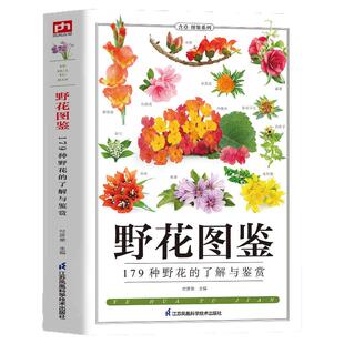 野花图鉴 179种野花的了解与鉴赏 野外常见花卉园林植物识别图鉴 植物图鉴百科全书 花卉养殖生长习性科普知识 野花野外识别图鉴书