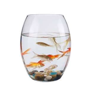 透明玻璃鹅蛋鱼缸办公桌水培圆形客厅金鱼小型乌龟迷你桌面小鱼缸