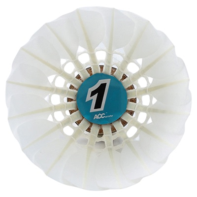 ACC羽毛球蓝装精选飞行