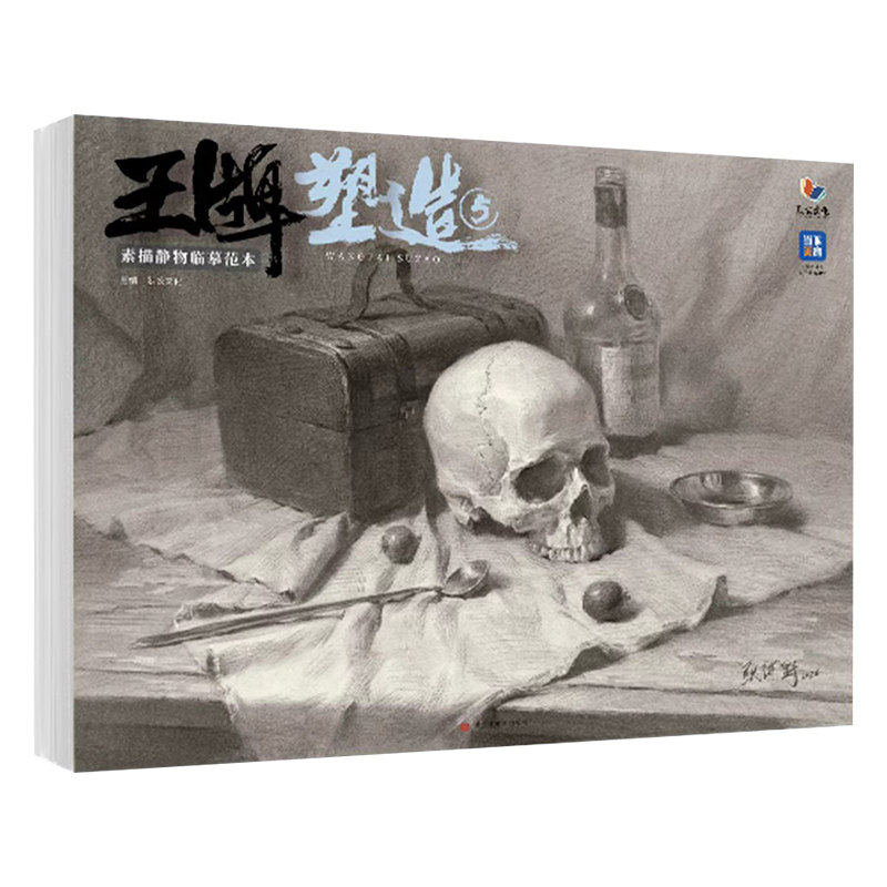 14年老店正版现货王牌塑造素描