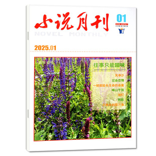 小说月刊杂志2026年2月现货(另有2025年1-12月/全年订阅/2024)微型小说选刊小小说文学文摘故事2023年过刊