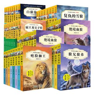 沈石溪中外动物小说精品书系升级版全套56册三四五六年级儿童的课外书籍必雪国狼王小学生阅读经典文学绝境血狼虎崽狗妈虎豹兄弟情