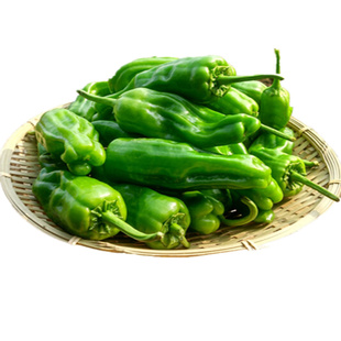 农家新鲜 本地芜湖椒青辣椒薄皮土辣椒泡泡椒虎皮椒微辣5斤包邮