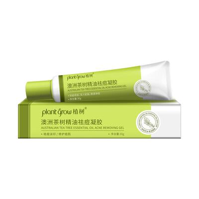 植树澳洲茶树净透凝胶30g