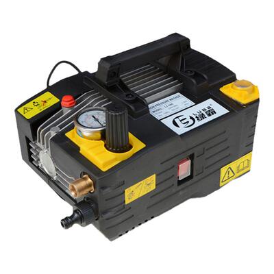 绿霸商用精洗铜芯220V