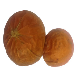 瓜蒌栝蒌野生全瓜蒌一斤太行山上生长中药材无硫熏自然风干代磨粉