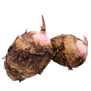 浙江金华红芽芋当季新鲜小香芋艿牛奶芋毛芋槟榔芋头蔬菜整箱包邮