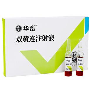 华畜兽用双黄连注射液兽药猪羊清热解毒退烧咳嗽气喘感冒药针剂