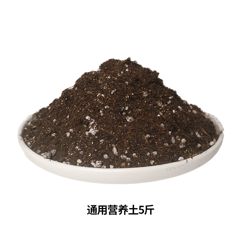 有机营养土养花植物园艺通用型多肉绿萝花卉种菜盆栽专用泥炭土