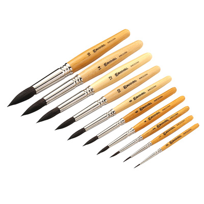 西班牙笔水彩画圆峰松鼠