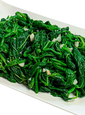 【一份一包】桑叶新鲜桑叶苗芽上汤菜新鲜食用嫩尖半成品特色冷冻
