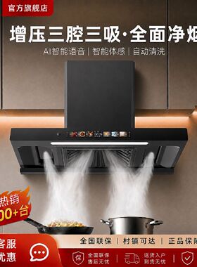 新飞油烟机出租房小型小尺寸大吸力顶吸公寓厨房吸油抽风机小户型