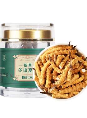 源江草断草精选大号冬虫夏草