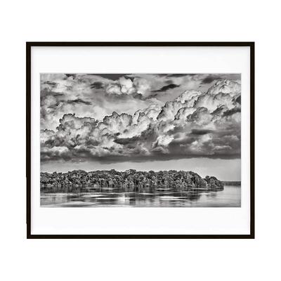 塞巴斯蒂安·萨尔加多：亚马逊