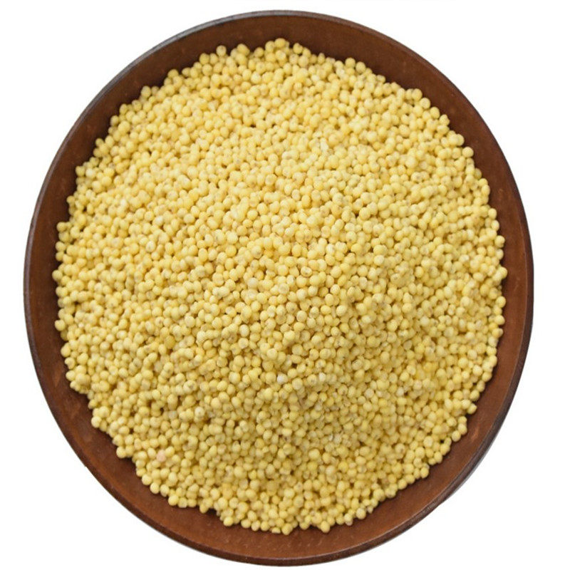 秫米北秫米药用食用中药材糯小米