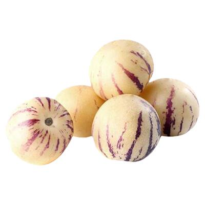 人生果树四季栽秧种子孑苗