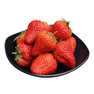 丹东99草莓新鲜红颜奶油东港九九甜牛奶草莓大果礼盒正宗大果