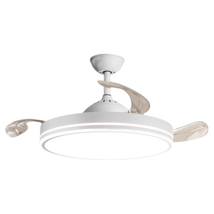 隐形风扇灯吊扇灯2026新款吸顶家用现代客厅餐厅卧室电扇一体吊灯