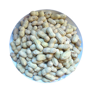 福建闽西特产龙岩水煮晒干原味正宗湿烤花生香酥白衣带壳坚果零食