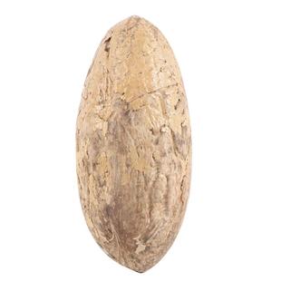 精品千眼菩提子原籽原料新果胖果超级大果按斤手把件绿色单颗老料