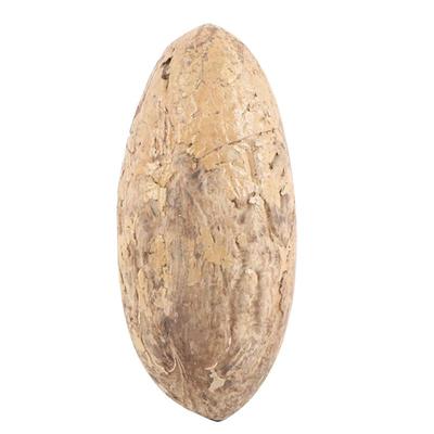 24年新果天然千眼菩提坏包补